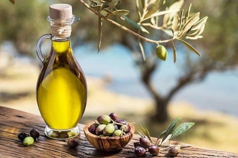 Гарвардские ученые узнали, как при помощи оливкового масла продлить себе себе жизнь