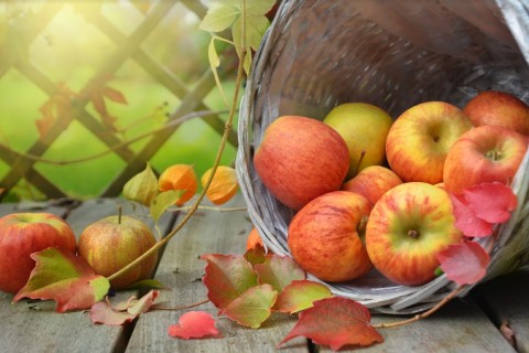 Нужно добавить в ежедневный рацион: специалист рассказала о пользе яблок