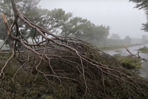 Ветер 190км/час: на Мадагаскар надвигается мощный циклон